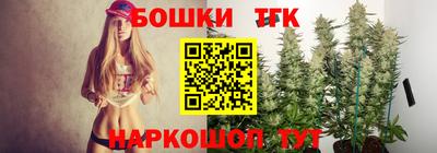 амф Обь