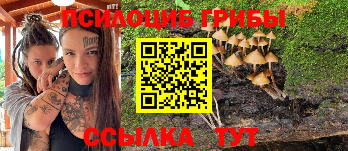 Сердобск  Галлюциногенные грибы Cubensis  Вход с VPN  Галлюциногенные грибы Magic Shrooms 